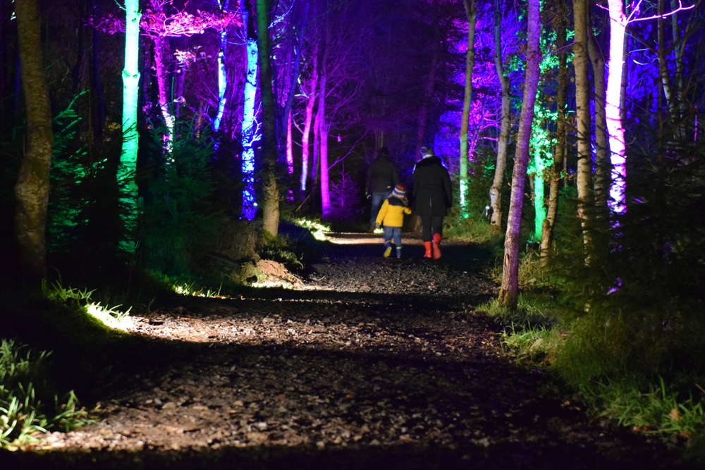 Magical illuminations at the Balfron Woodland Light Experience