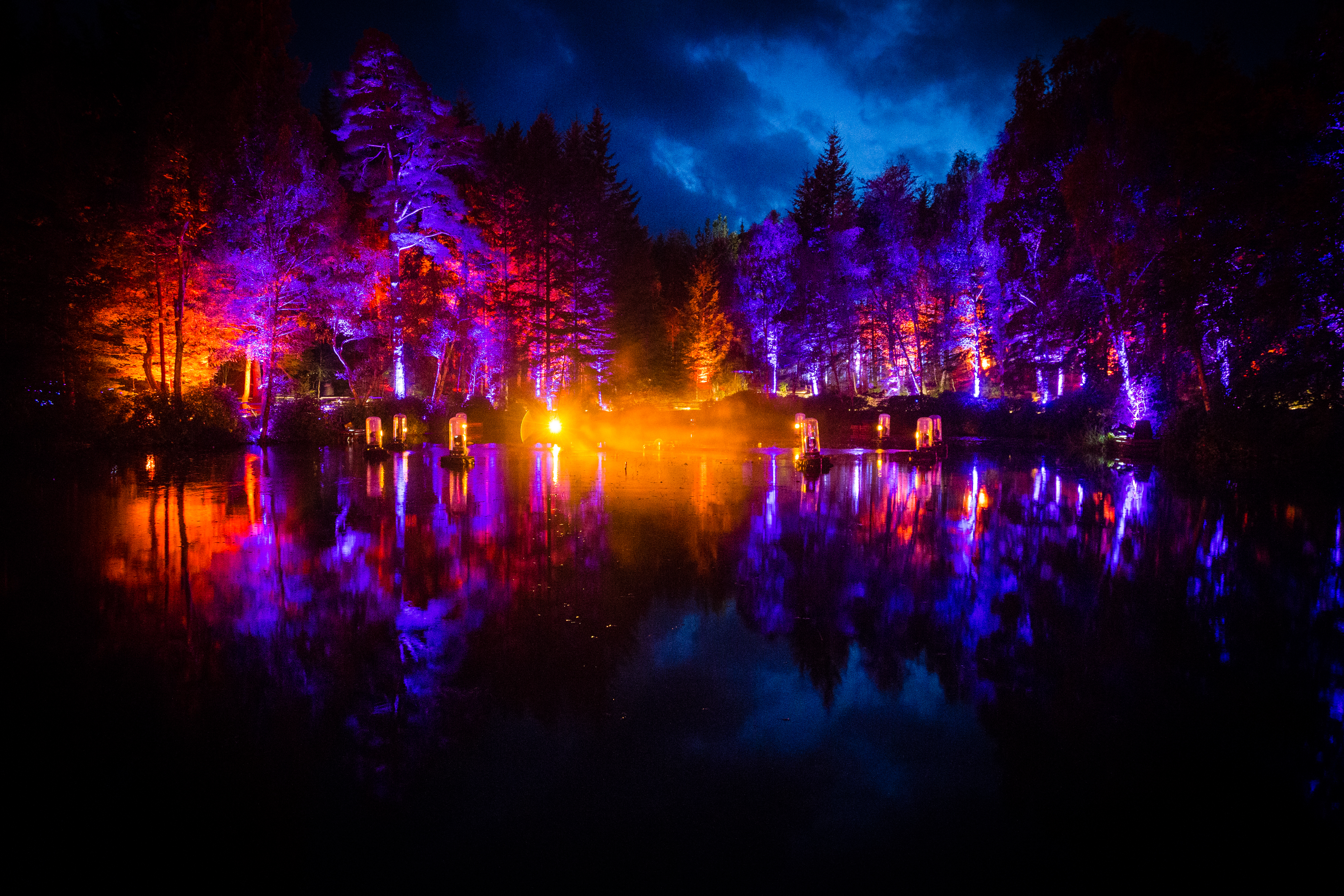 The Enchanted Forest, Faskally: Photo by Angus Forbes