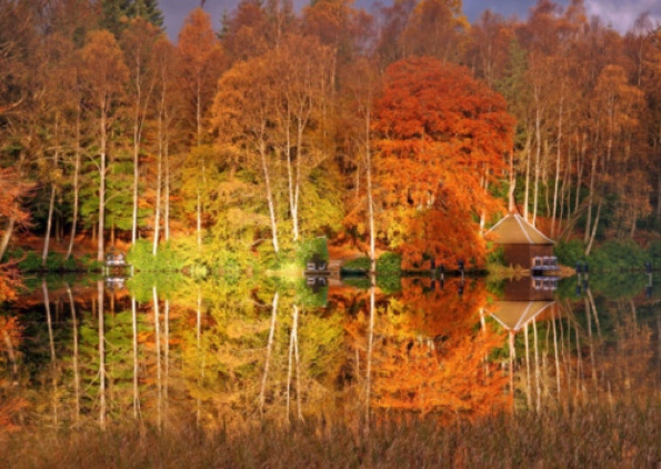 Autumn colour at Loch Faskally