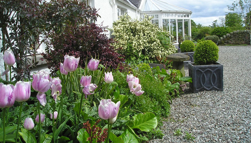 Colour and views at Thorntree garden