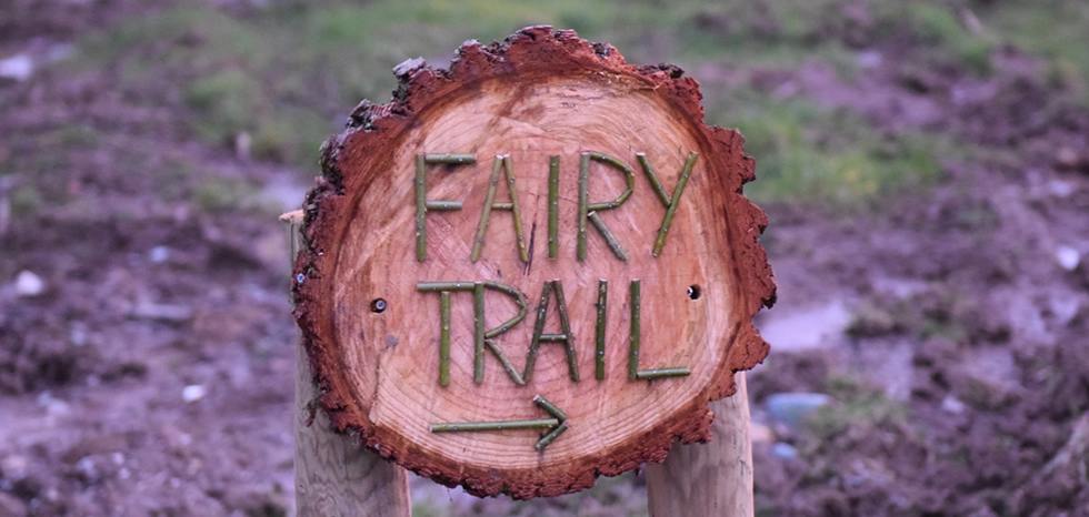 Searching for fairies in Ballochruin Woodland