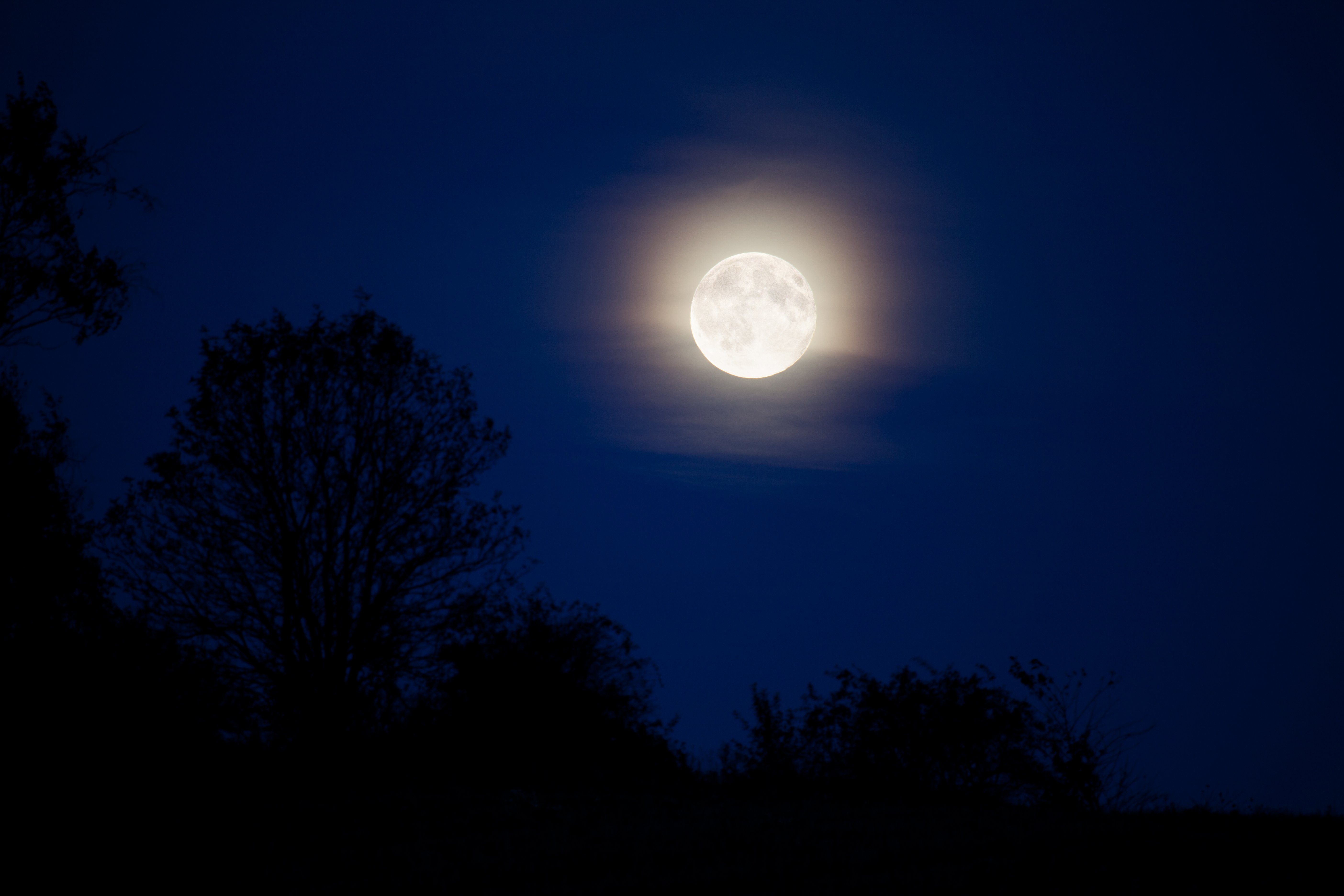 The moon will appear unusually bright and 'low-hanging'